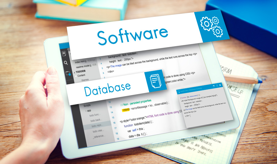 Software Development - Italia Digitale